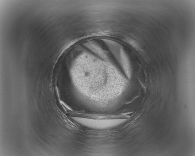 X0000062631308200601041021