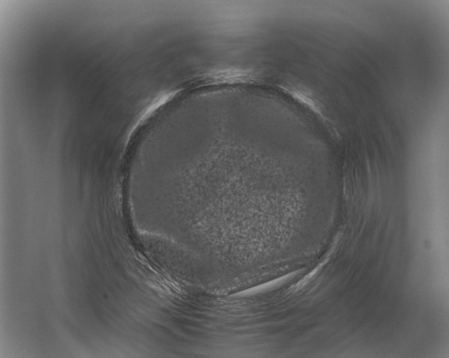 X0000062631309200601041021