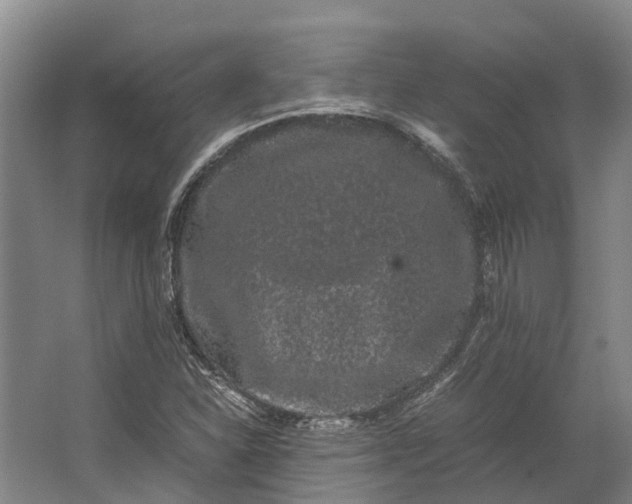 X0000062631310200601041021