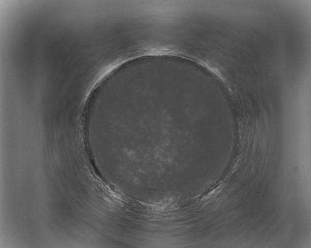 X0000062631311200601041021