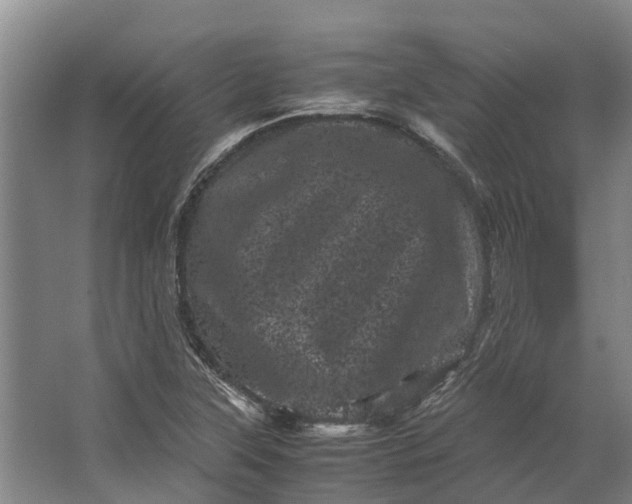 X0000062631315200601041021