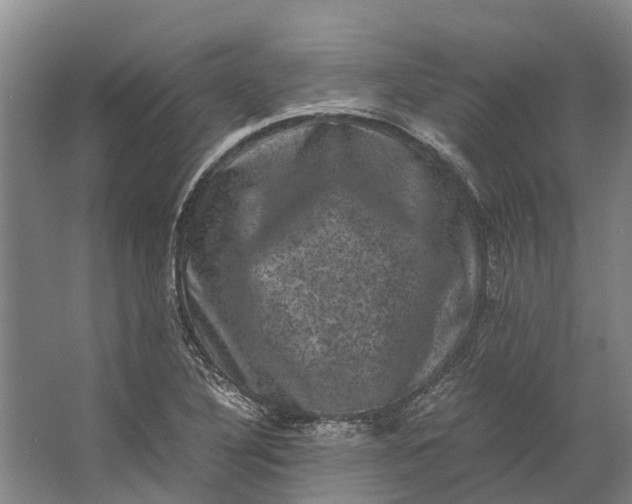 X0000062631316200601041021