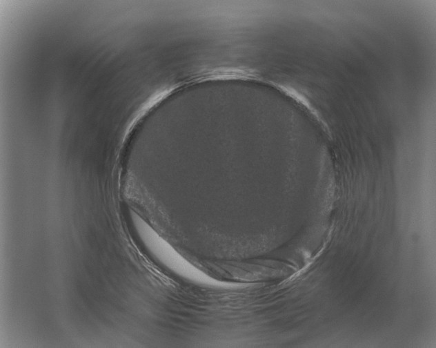 X0000062631317200601041021