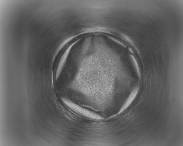 X0000062631320200601041021