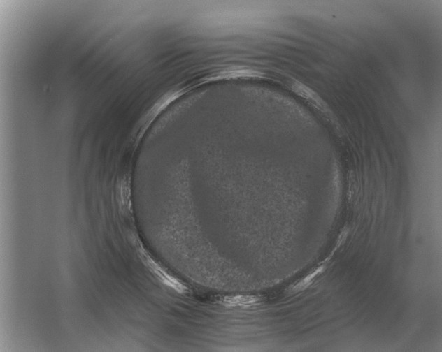 X0000062631321200601041021