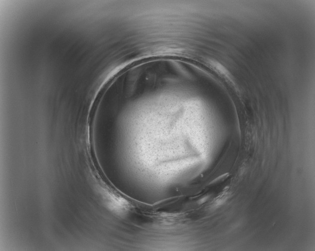 X0000062631324200601041021