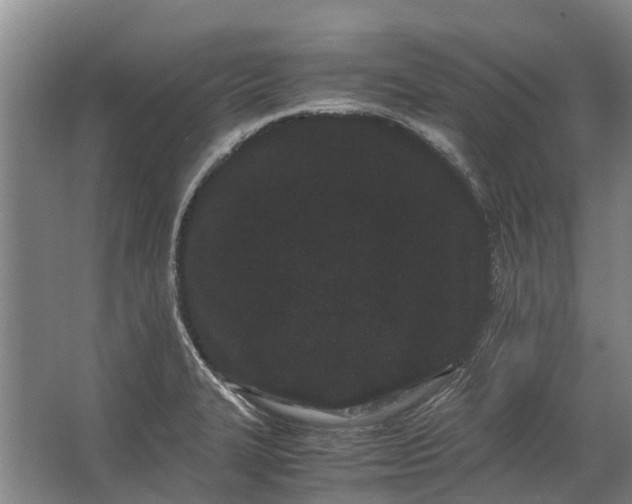 X0000062631327200601041021