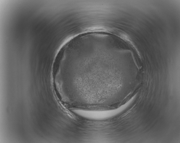 X0000062631328200601041021