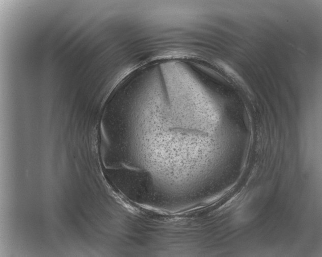 X0000062631329200601041021