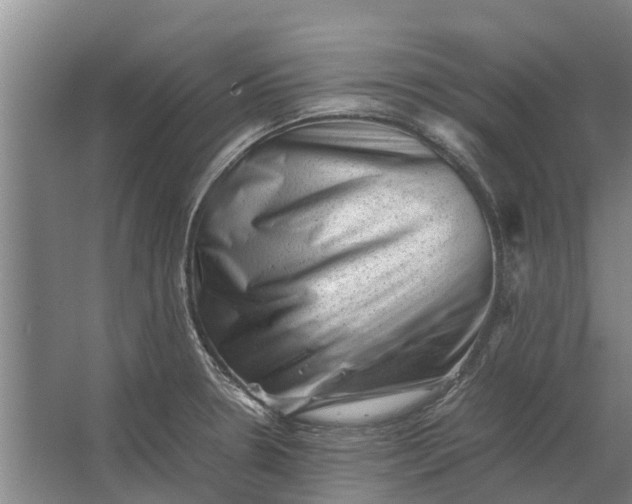 X0000062631330200601041021