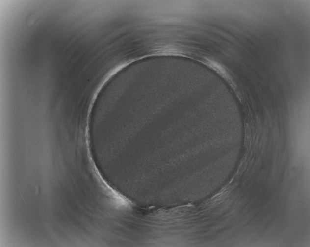 X0000062631331200601041021