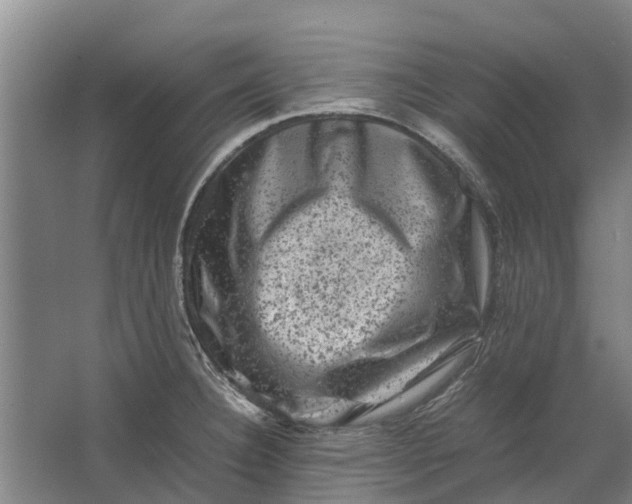 X0000062631332200601041021