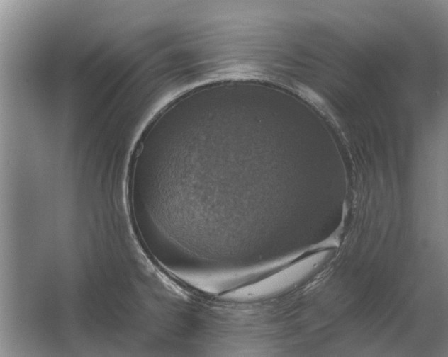 X0000062631334200601041021