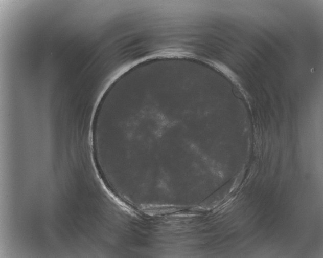 X0000062631335200601041021