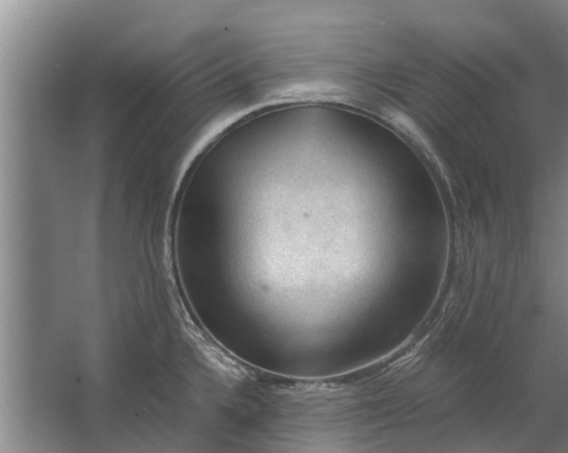 X0000062631336200601041021