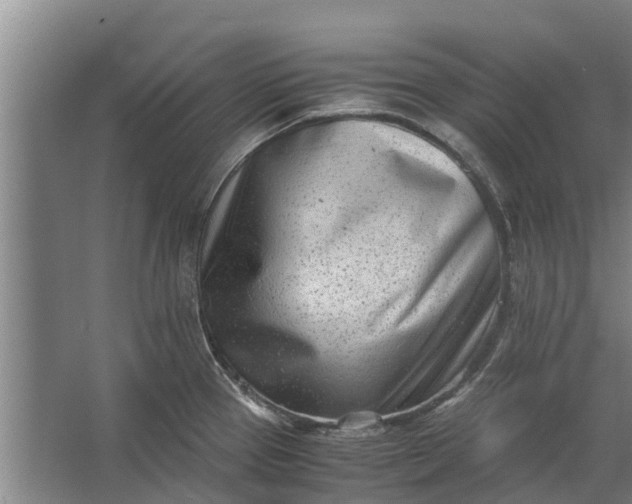 X0000062631337200601041021