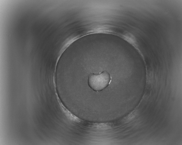 X0000062631338200601041021