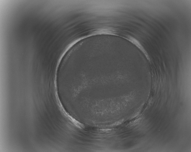 X0000062631339200601041021