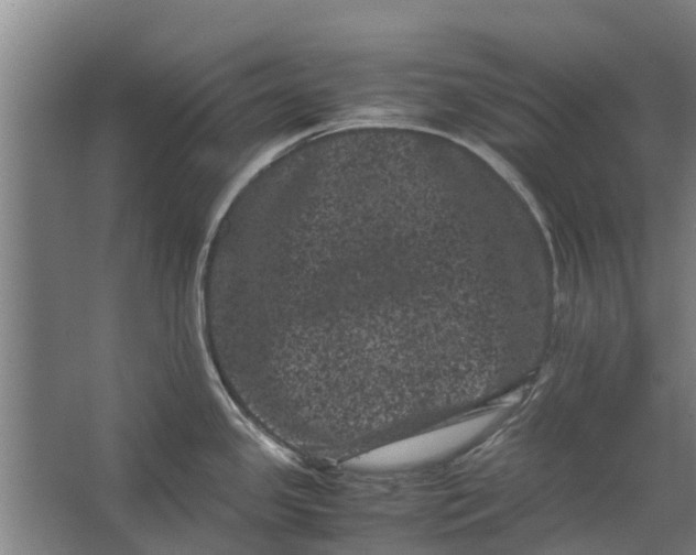 X0000062631341200601041021