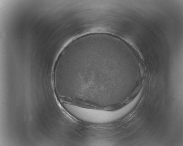 X0000062631342200601041021