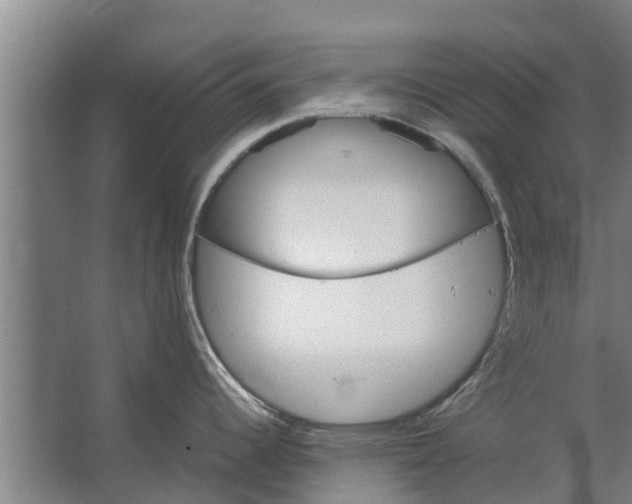 X0000062631344200601041021