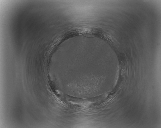 X0000062631345200601041020