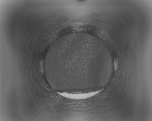 X0000062631347200601041020