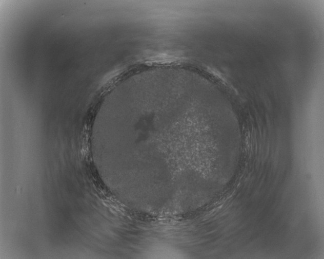 X0000062631350200601041020