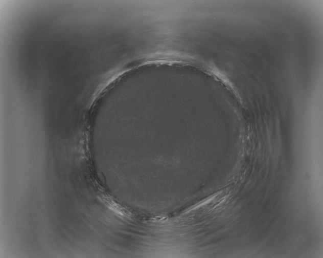 X0000062631352200601041020