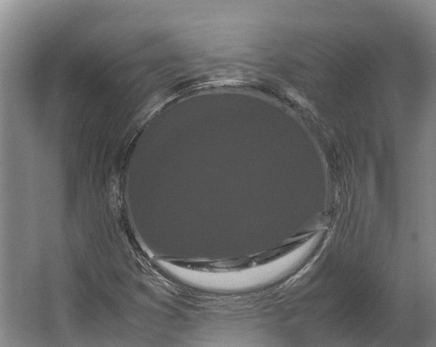 X0000062631353200601041020