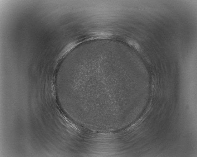 X0000062631354200601041020