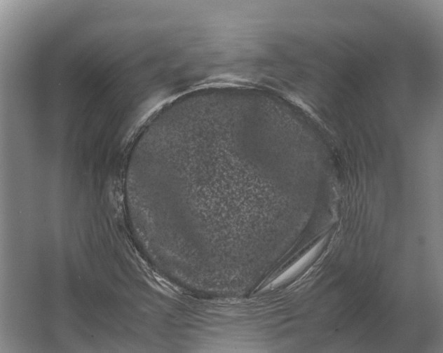 X0000062631355200601041020