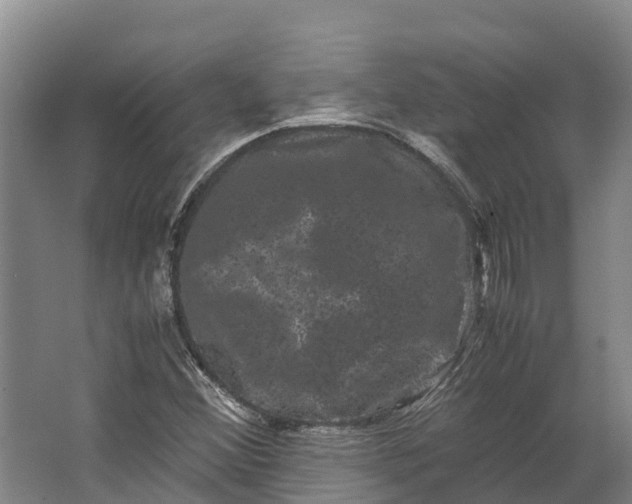 X0000062631356200601041020