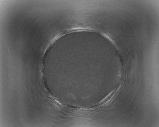 X0000062631357200601041020