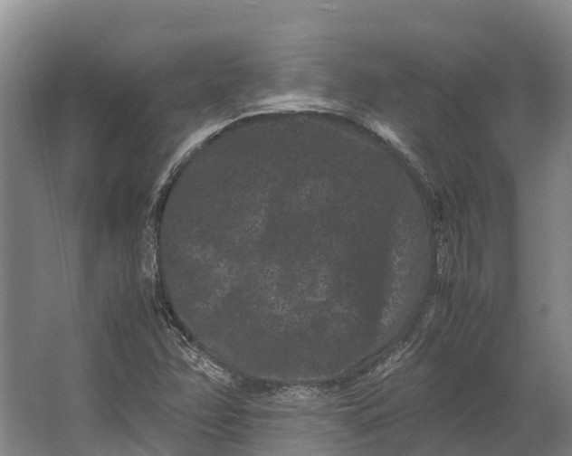 X0000062631358200601041020