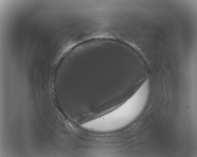 X0000062631359200601041020