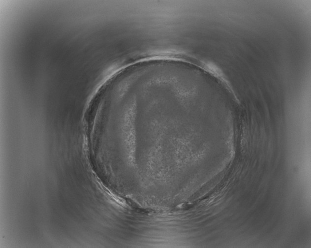 X0000062631360200601041020