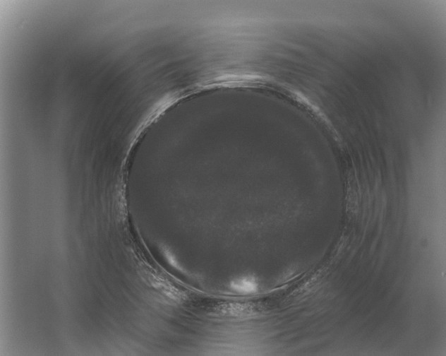 X0000062631362200601041020