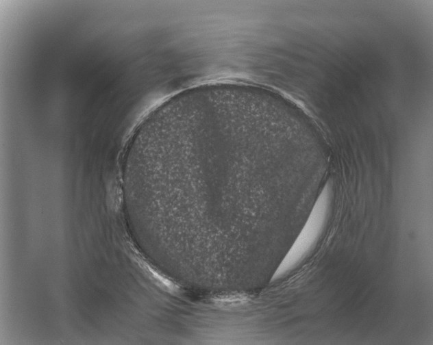 X0000062631363200601041020