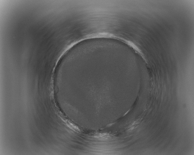 X0000062631364200601041020