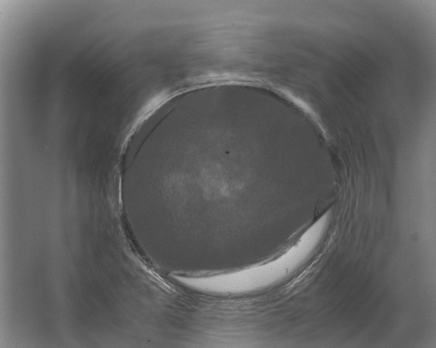 X0000062631365200601041020