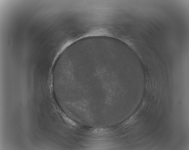 X0000062631366200601041020