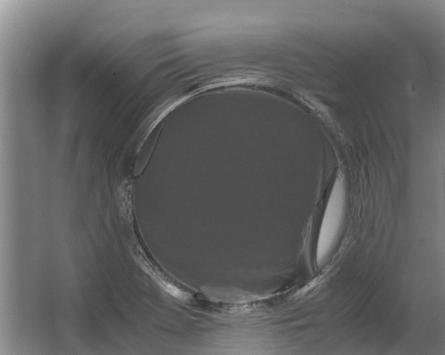 X0000062631369200601041020