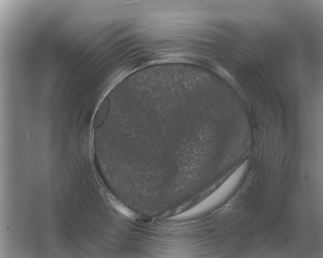 X0000062631370200601041020