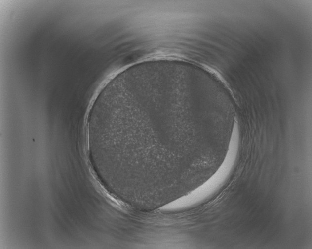 X0000062631371200601041020