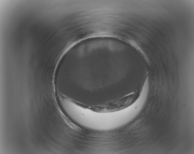 X0000062631372200601041020