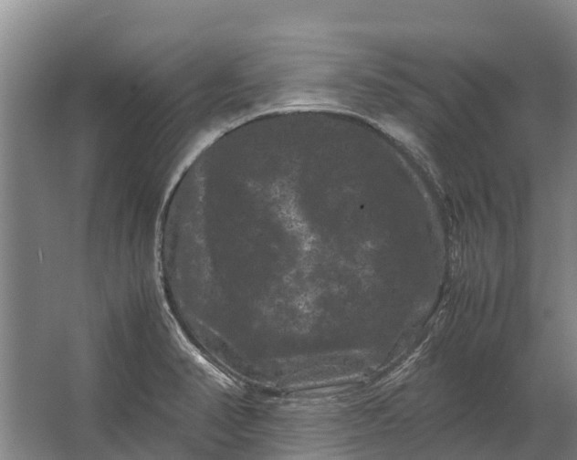 X0000062631374200601041020