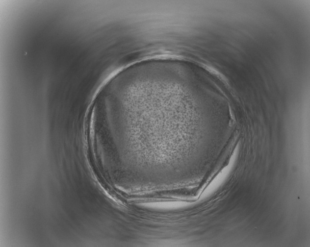 X0000062631375200601041020