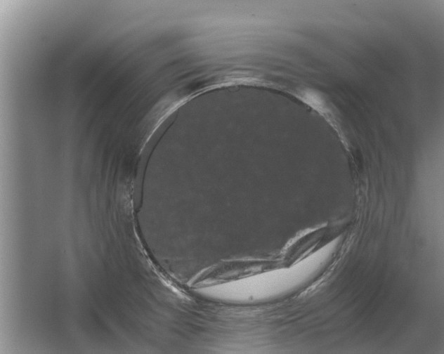 X0000062631377200601041020