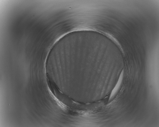 X0000062631380200601041020